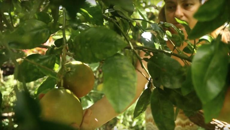 Paradise Eco Village 파호아 외부 사진