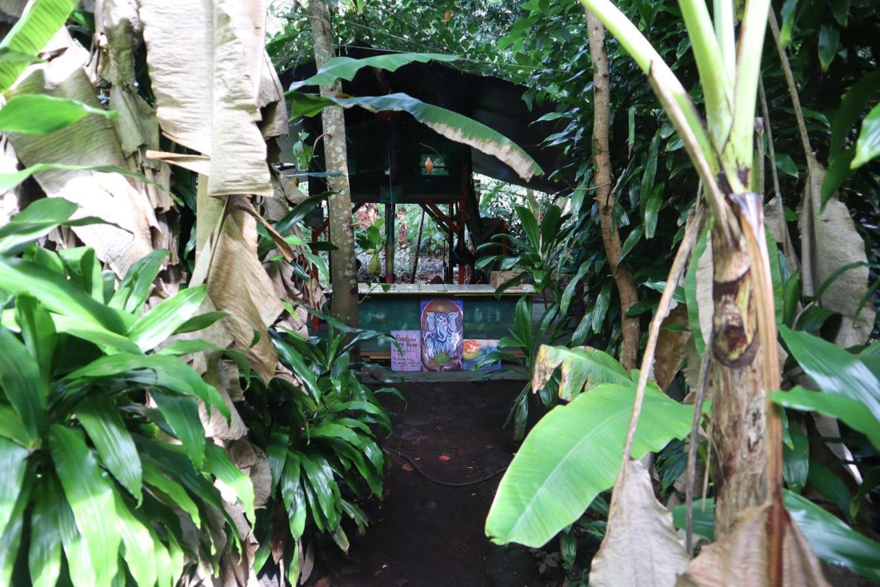 Paradise Eco Village 파호아 외부 사진