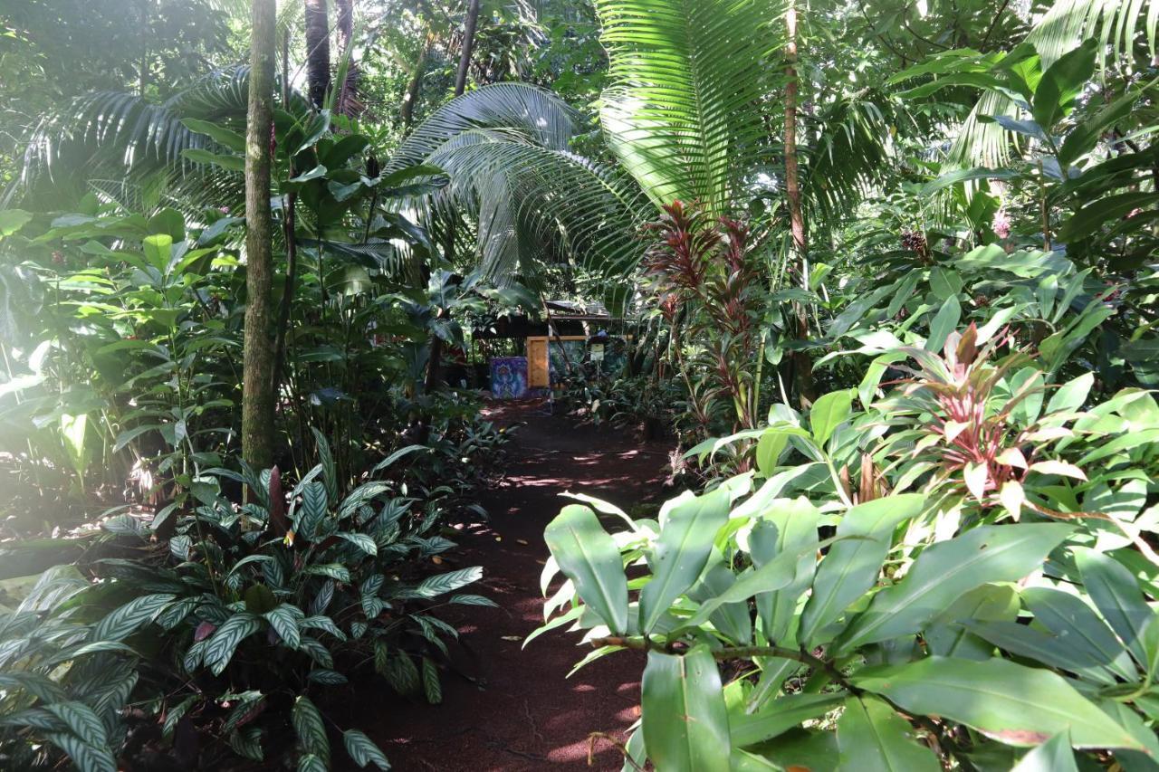Paradise Eco Village 파호아 외부 사진