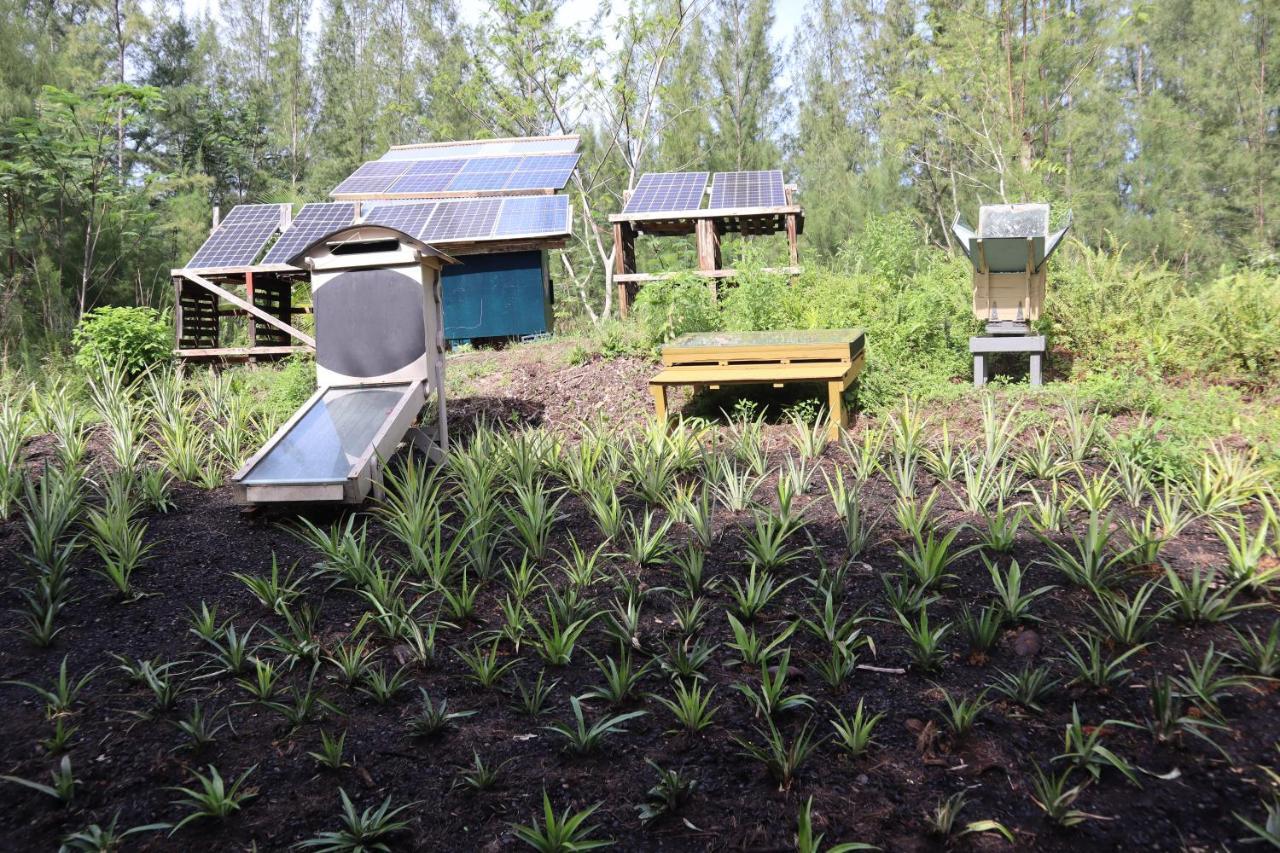 Paradise Eco Village 파호아 외부 사진